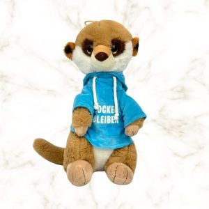 Meerkat with Sweater
